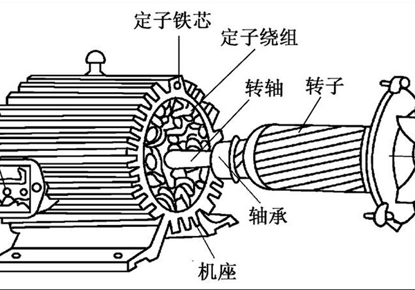 電機(jī)中定子和轉(zhuǎn)子有什么關(guān)系